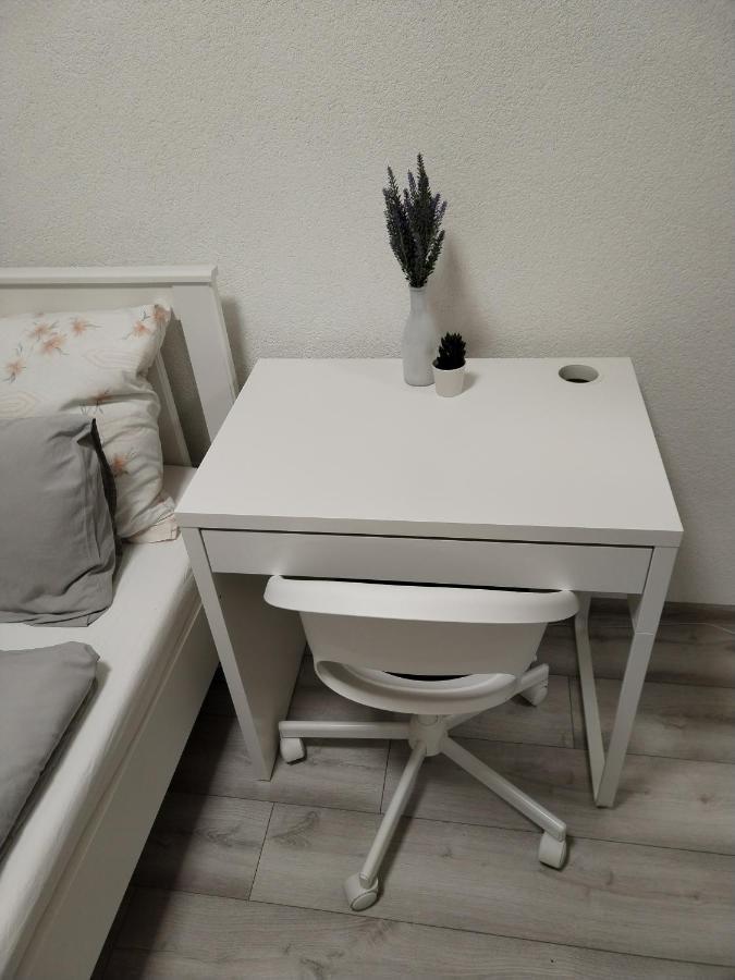 Apartman Zeko 里耶卡 外观 照片